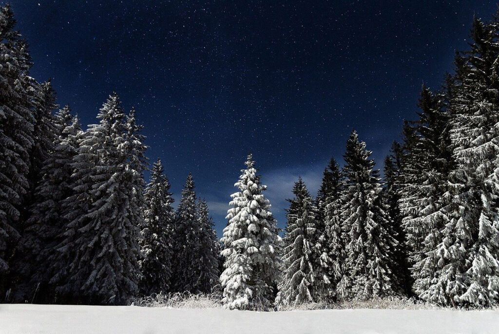 Notte più lunga dell'anno