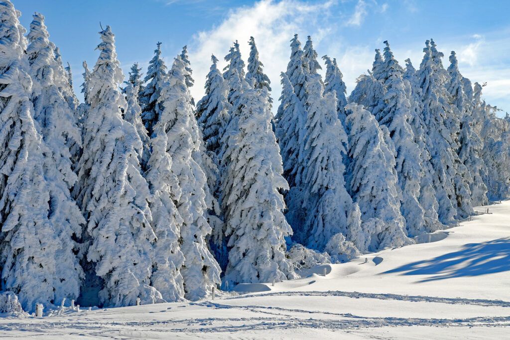 Solstizio Inverno