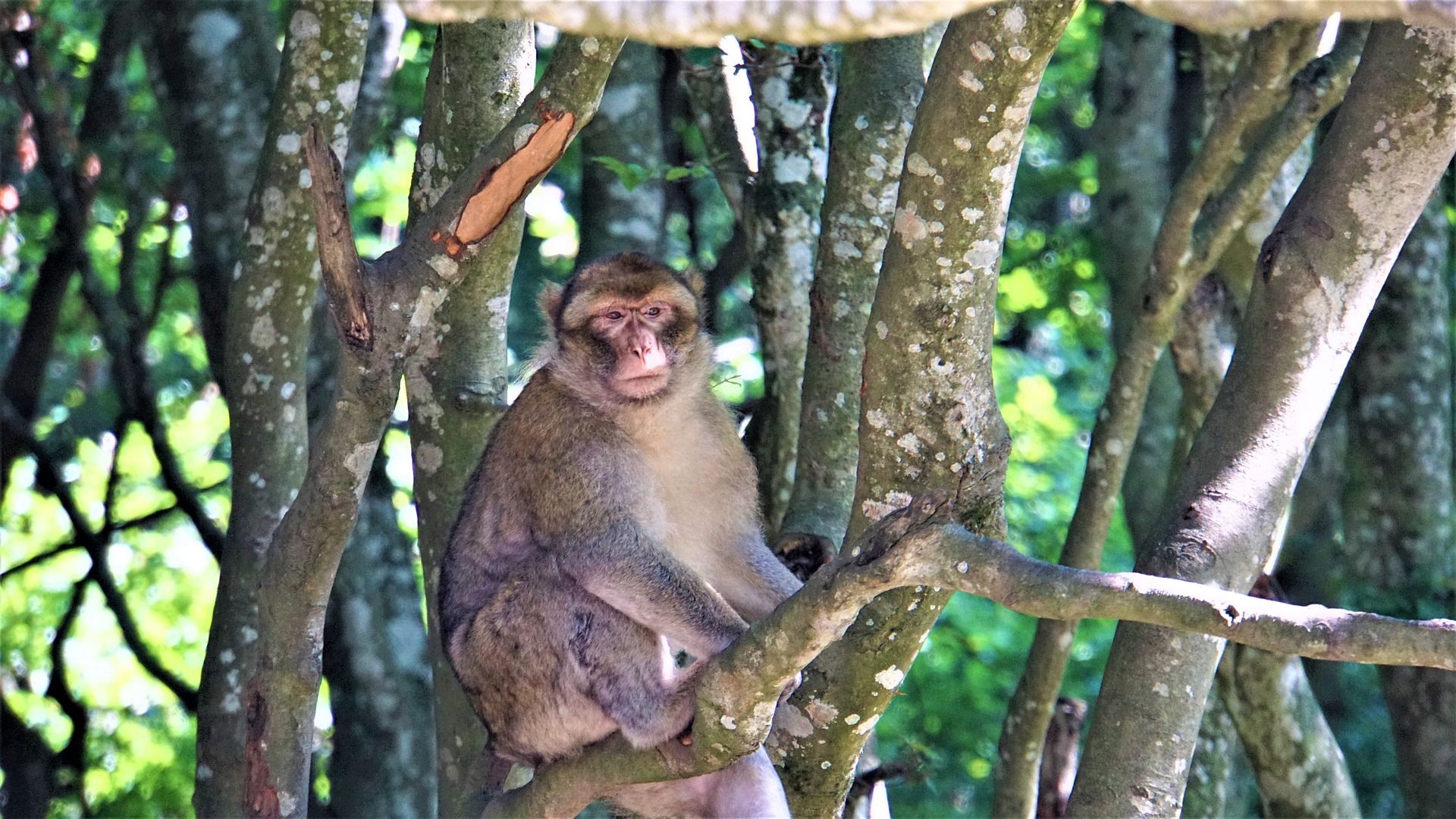 giornata mondiale biodiversità