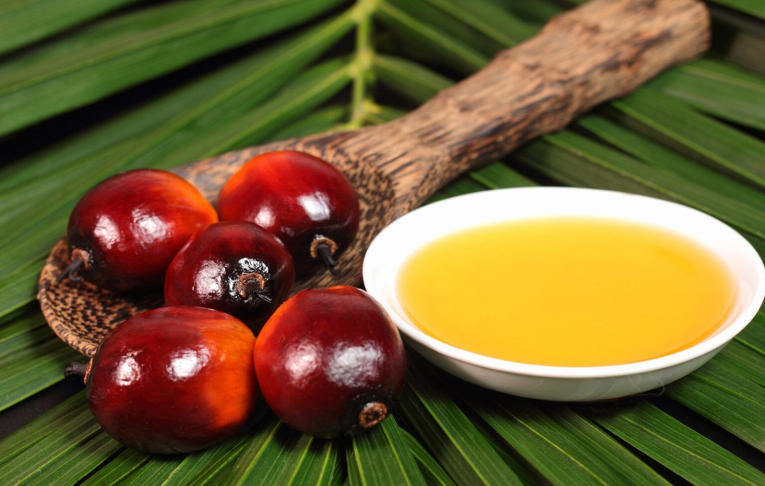 Olio di palma perché fa male? Tecnologia e Ambiente Olio di palma perché fa male? Tecnologia e Ambiente