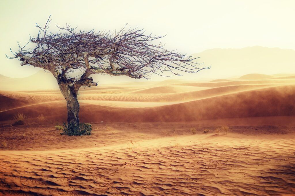 crisi climatica