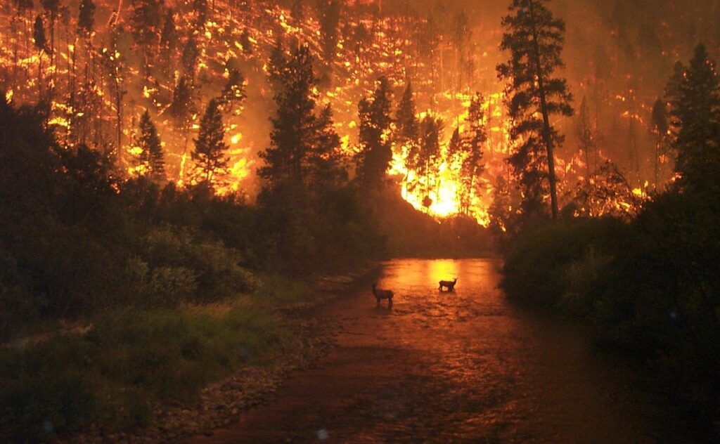 emergenza incendi