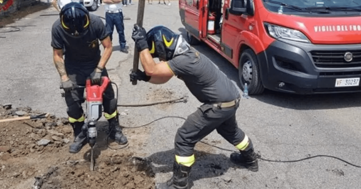 cane incastrato vigili del fuoco salvano un cane