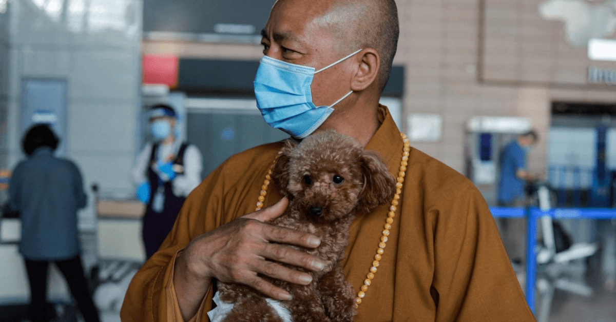 monaco buddista trasforma tempio in rifugio per animali