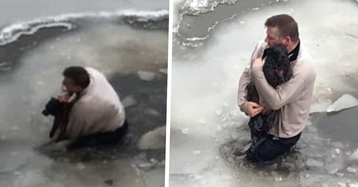 eroe salva un cane canale ghiacchiato