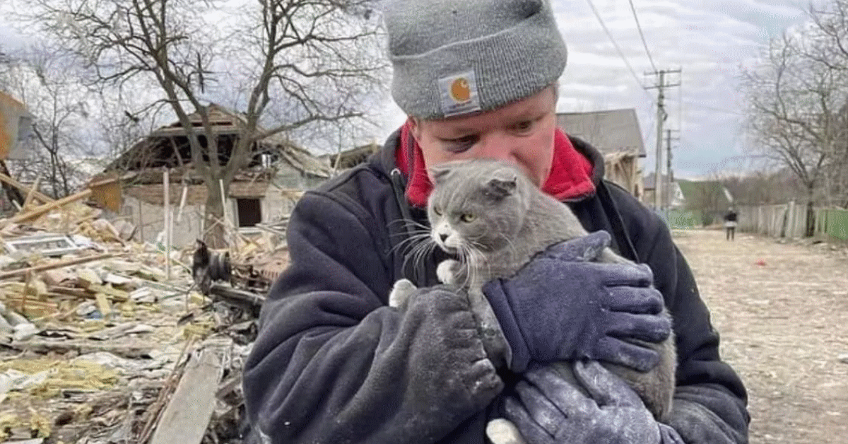 sua casa lui e il gatto esercito russo