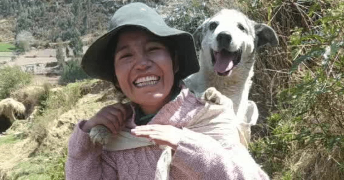 ogni giorno porta in braccio cane lavoro