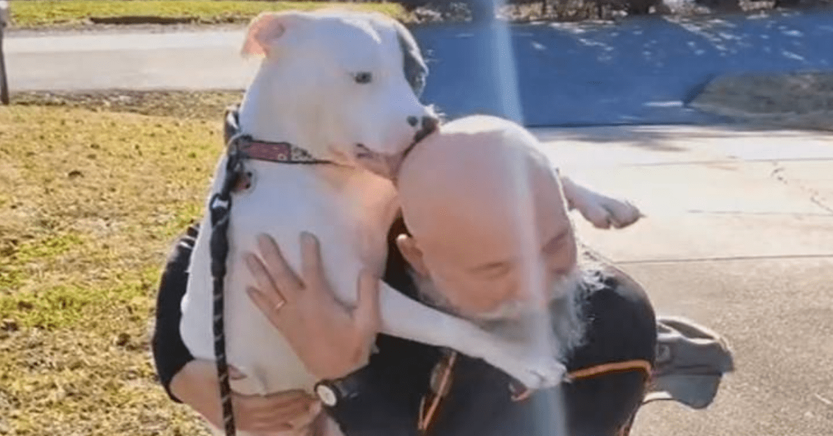 cagnolona abbraccia proprietari