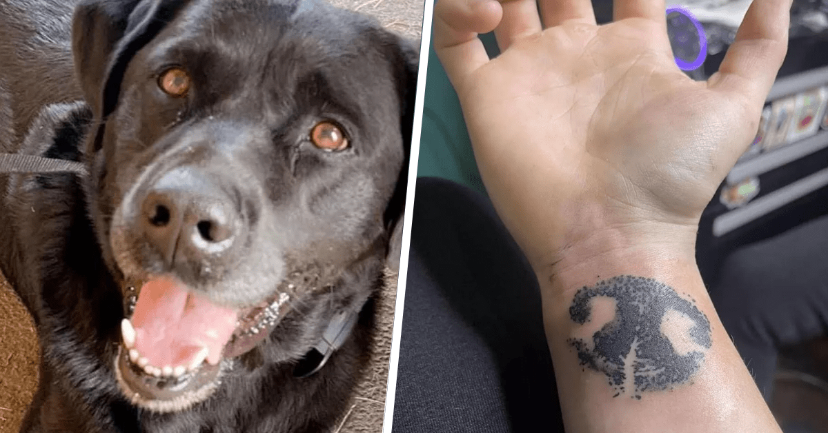 cane tatuaggio