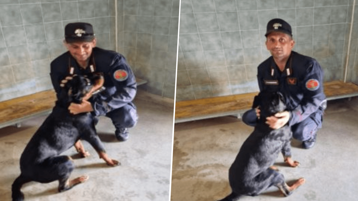Rottweiler legato al sole salvato carabinieri