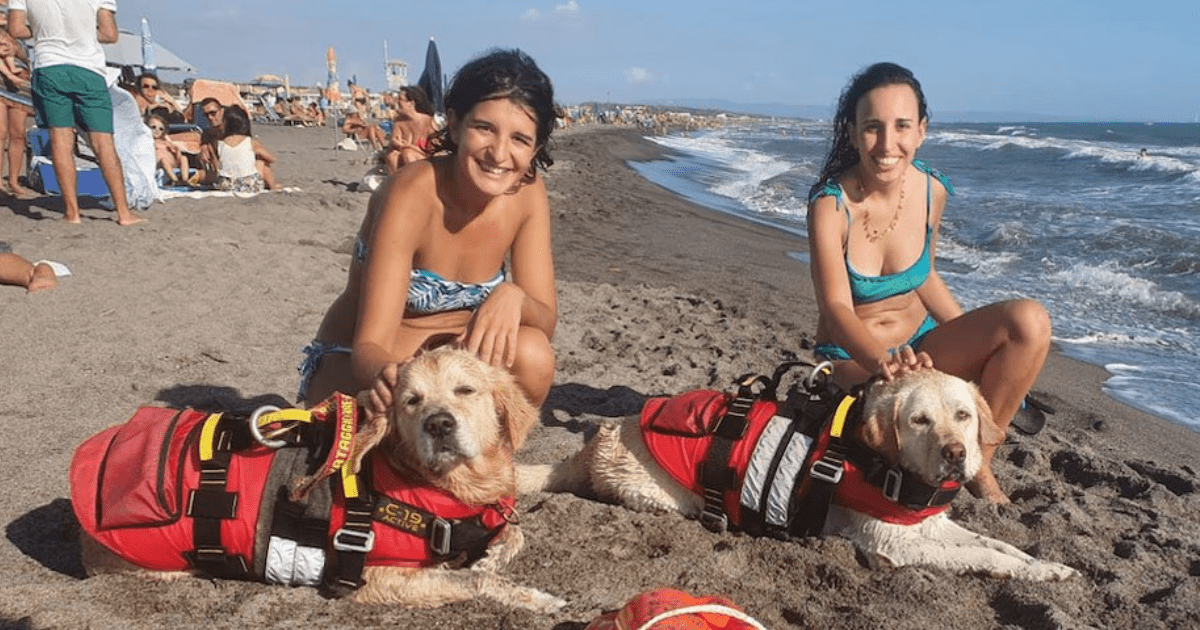 cani soccorso spiagge