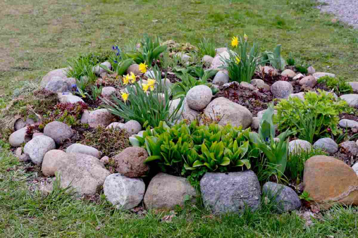 Creare aiuolo rocciose per un giardino unico e raffinato