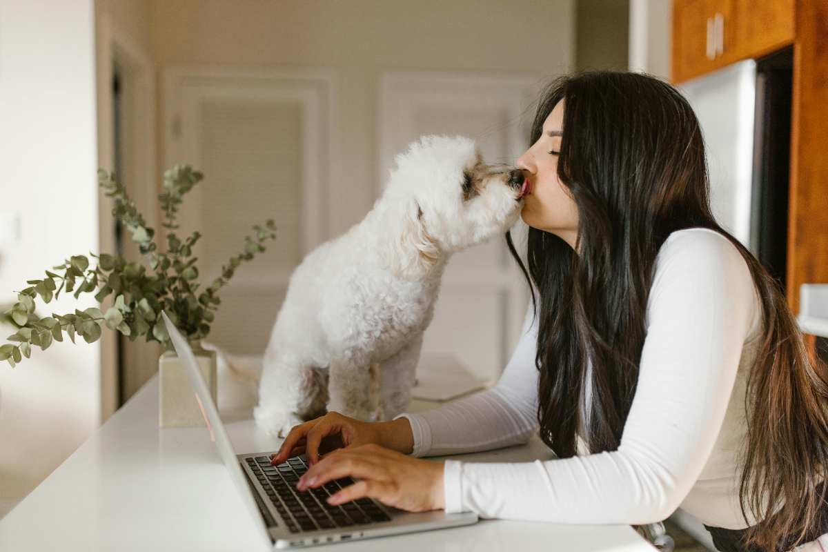 Quando il cane ci lecca da i baci? il vero significato