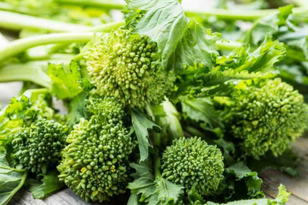 le differenze tra cime di rapa, broccoletti e friarielli