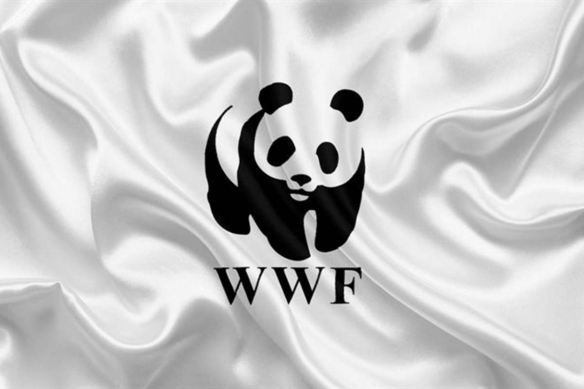 Le regole del WWF per una vita più green