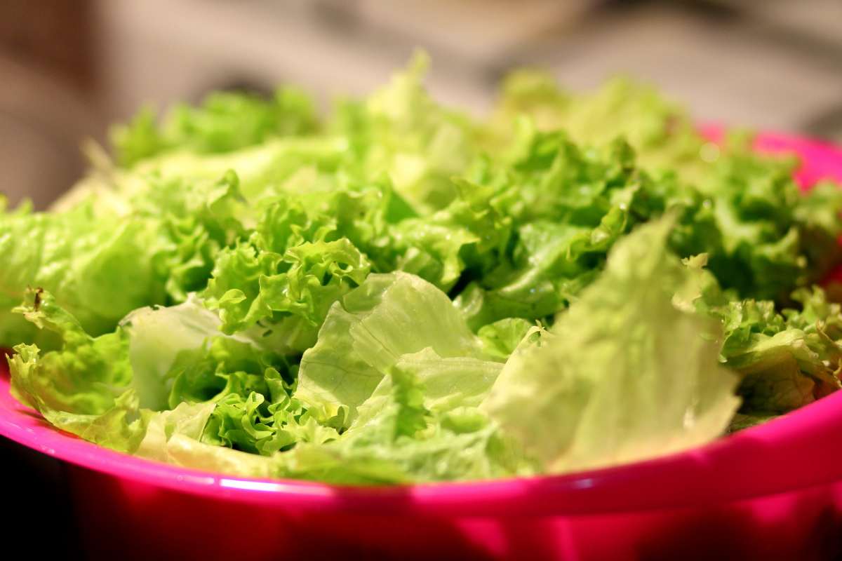 La guida per un uso consapevole dell'insalata in busta