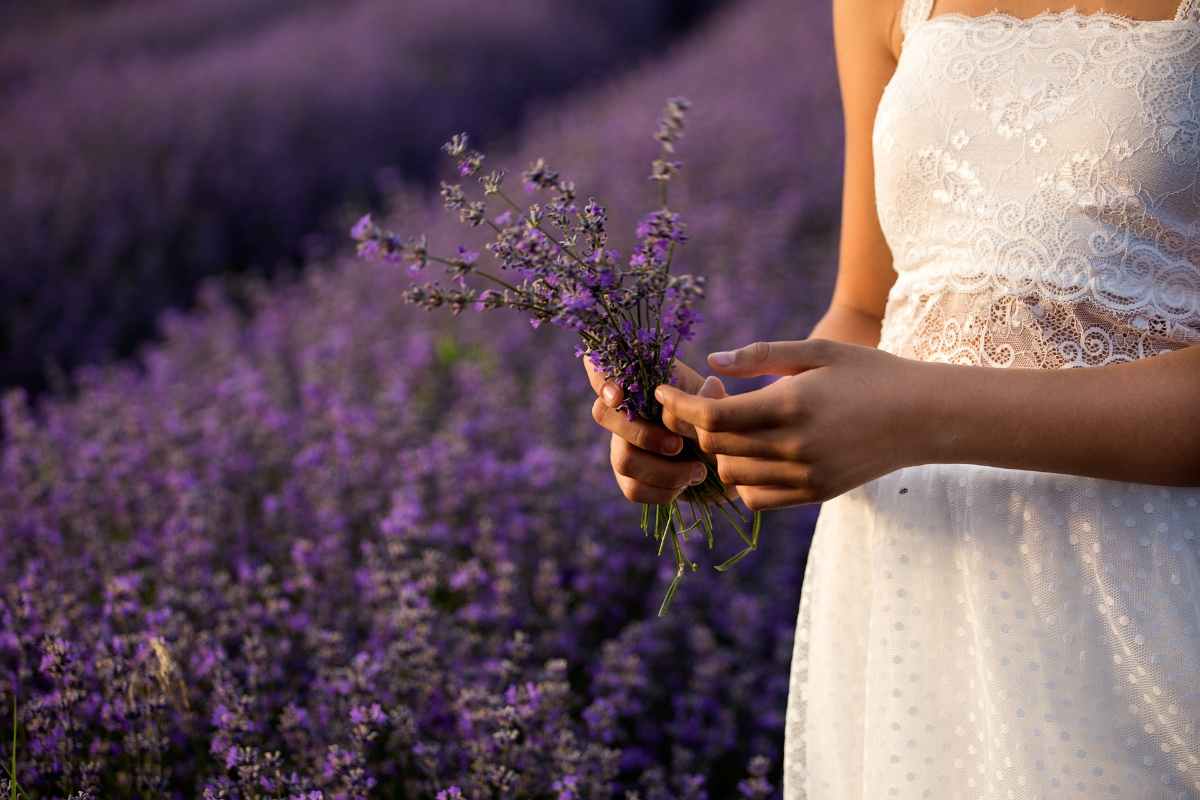 Fiori belli e buoni, se li pianti potrai anche mangiarli: una svolta per il tuo giardino