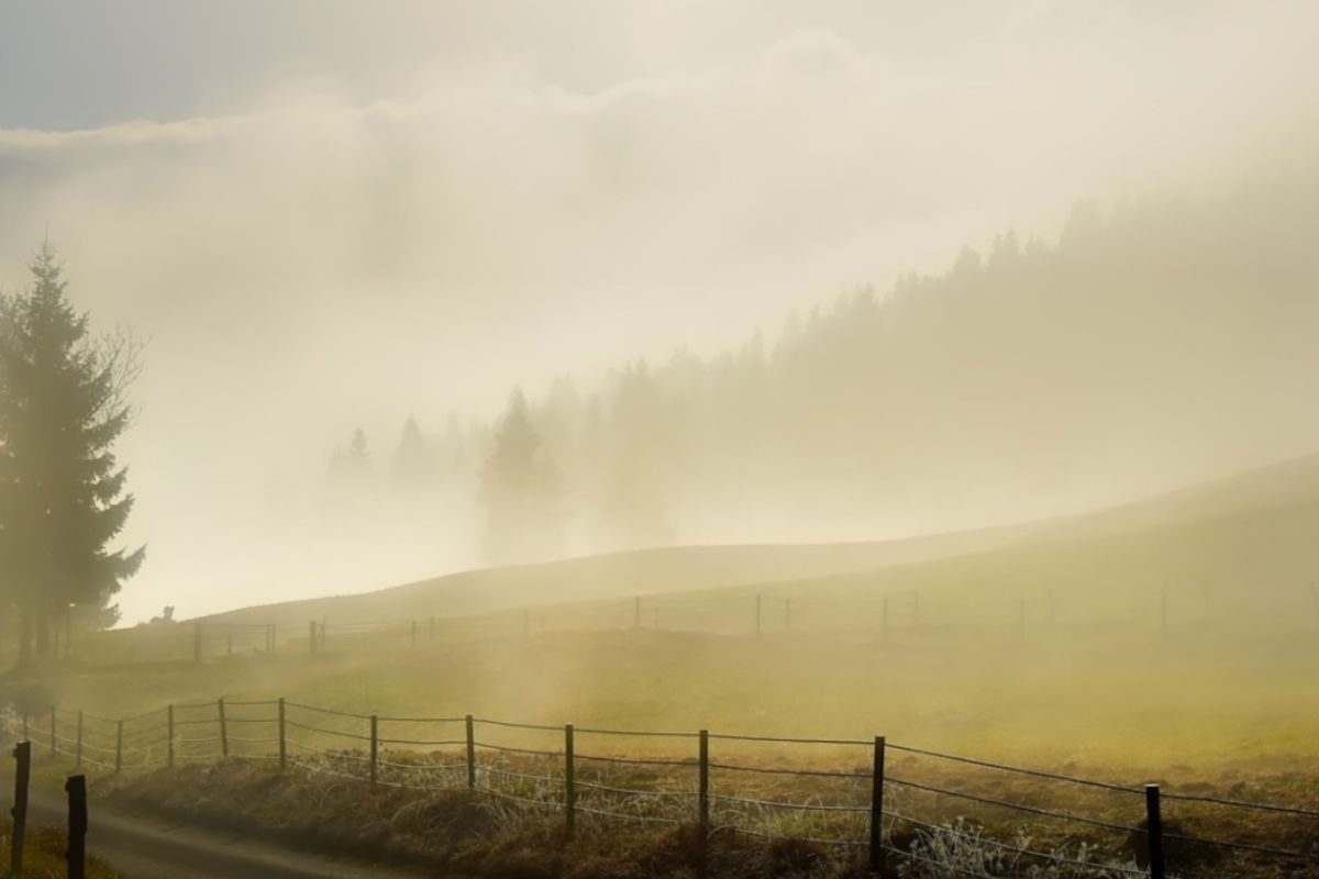 Nebbia in Val Padana