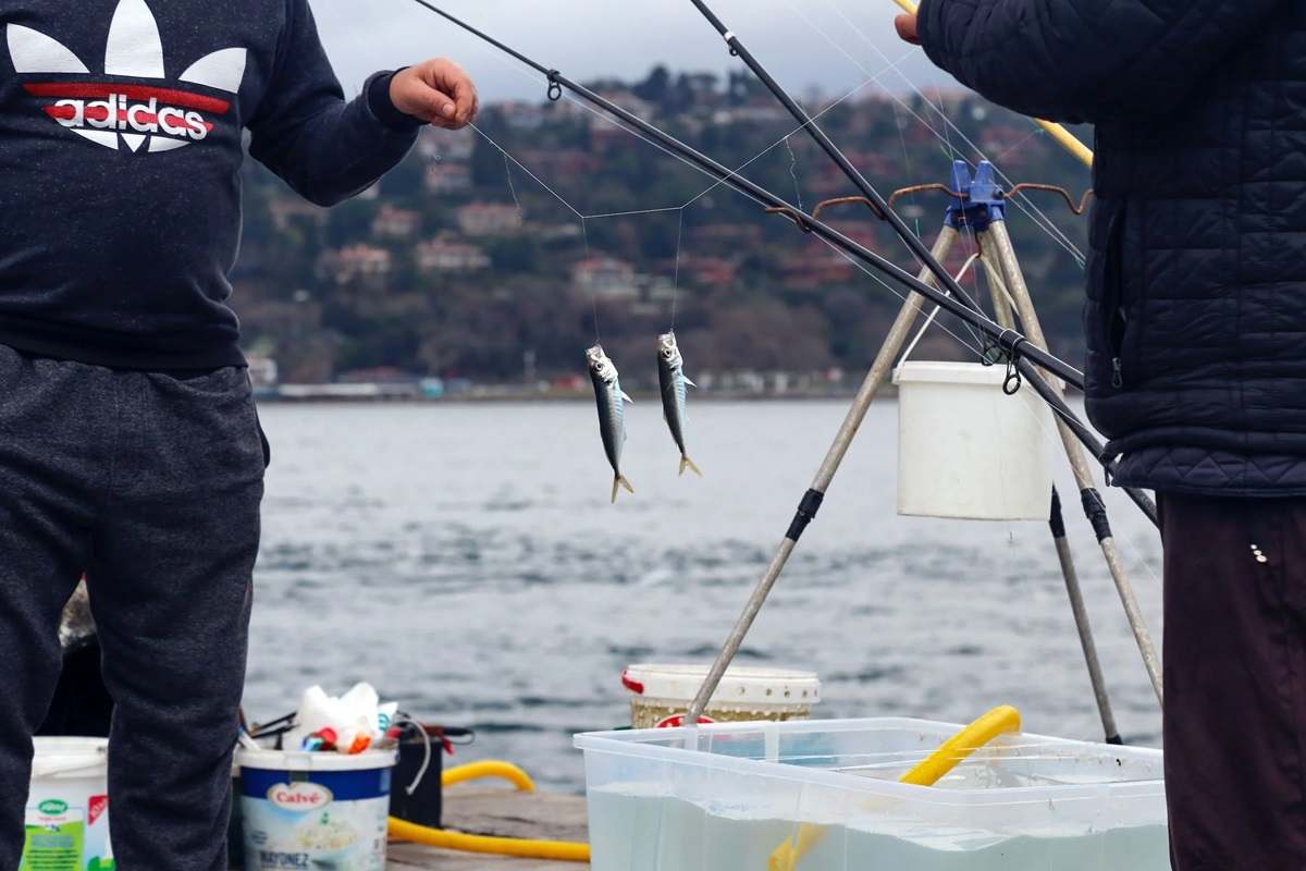 Attività di pesca