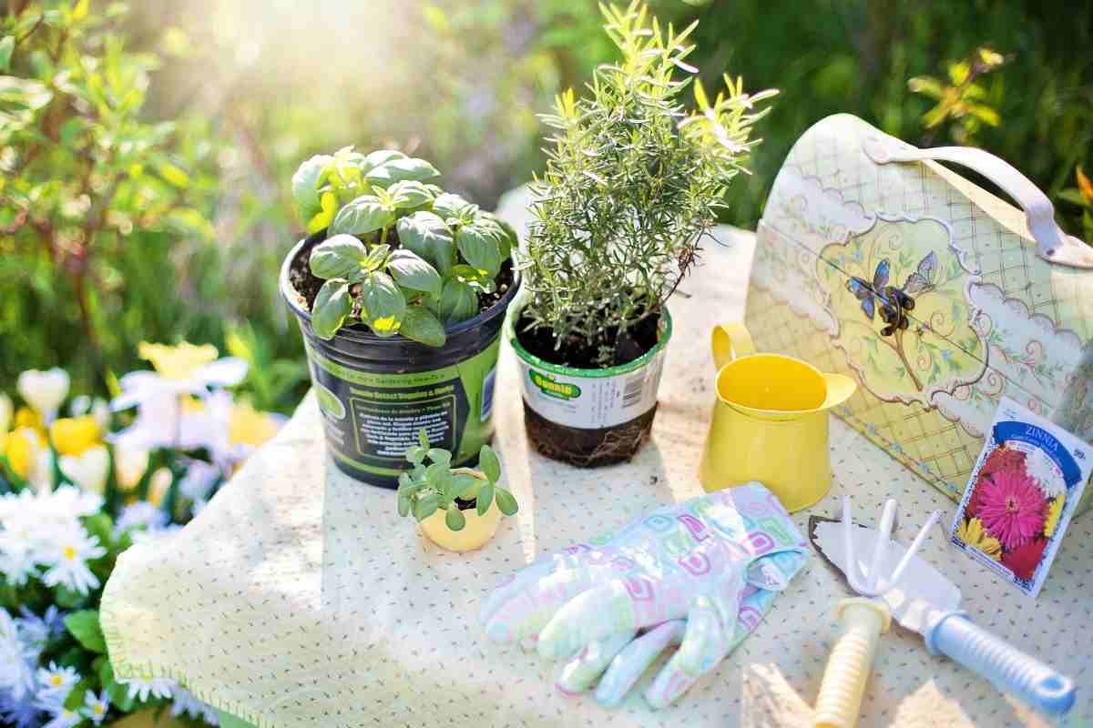 Nel mese di marzo: le piantine ideali da seminare anche sul balcone