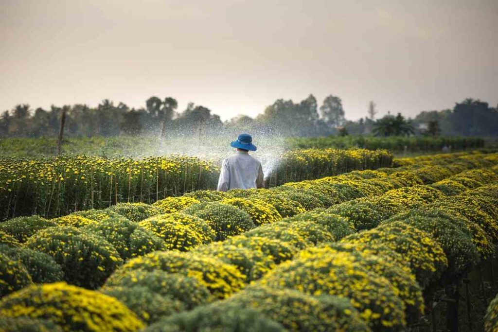 Agricoltura sostenibile