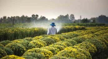 Come l’agricoltura industriale sta degradando il nostro suolo