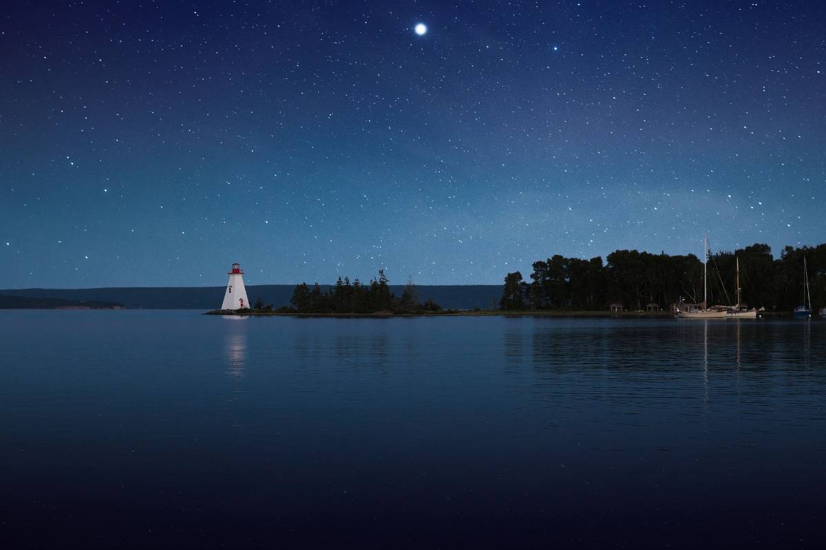 Il meraviglioso mondo della bioluminescenza marina, dove organismi viventi creano spettacoli di luce tra il mare e il cielo